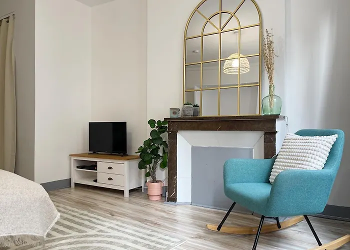 Charme Historique De Beauvoir Au Coeur De Blois